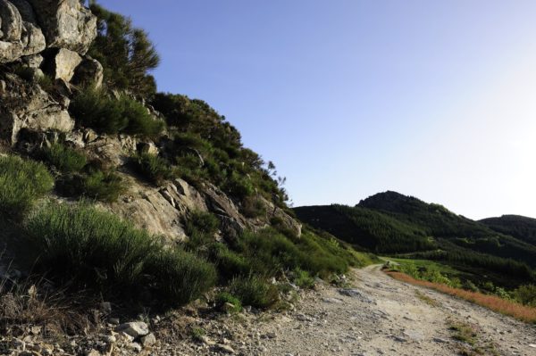 Hiking : Le tour du Tanargue