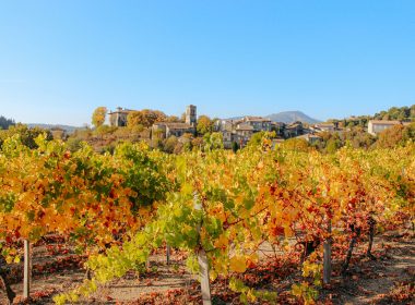 Route No 5 : Sur les hauts de Joannas