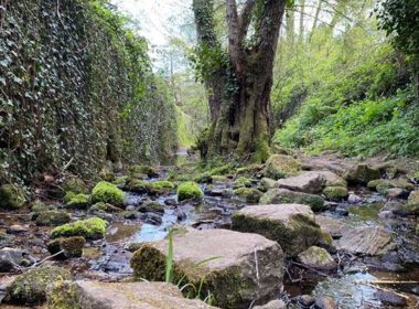 Route No 9 : Du Toufache au Blajoux