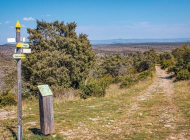 Route No 10 : La Corniche des Gras
