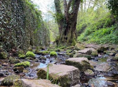 Route No 9 : Du Toufache au Blajoux