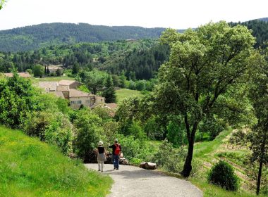 Route No. 12 : Le chemin des Cortasses